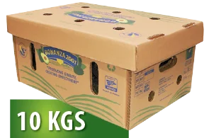 bonanza-fresh-aguacate-presentacion-10kgs
