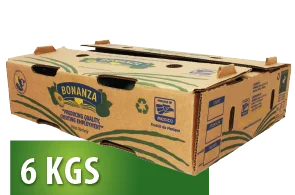 bonanza-fresh-aguacate-presentacion-6kgs